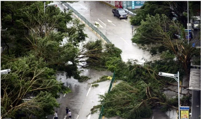 應(yīng)急管理部發(fā)布2021年8月全國自然災(zāi)害情況