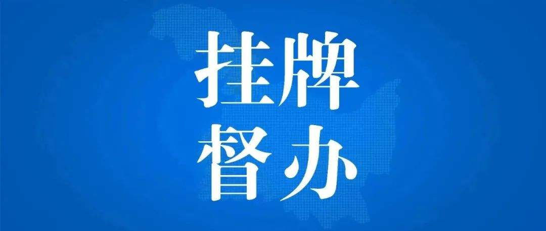 重大生產(chǎn)安全事故查處掛牌督辦通知書