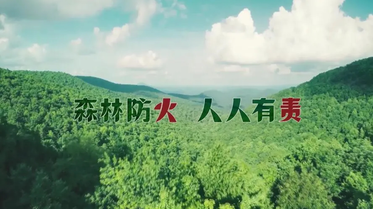 我國將開展森林草原火災防控專項行動